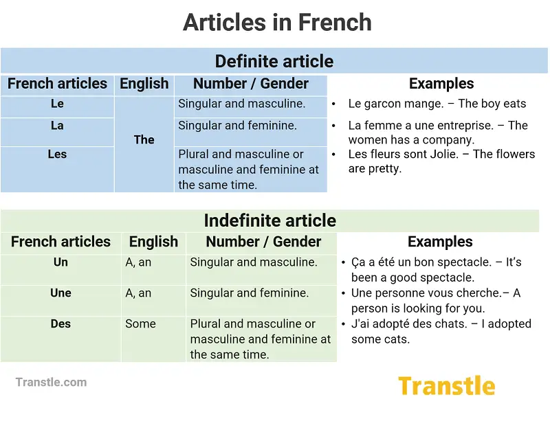 What is the difference between definite article and indefinite articles in French?