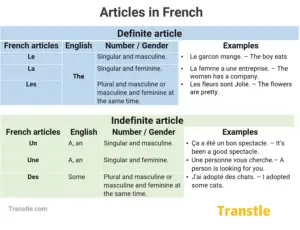 Artilces in french definite and indefinite with examples