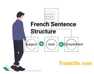 Graphical representation of sentence structure in French