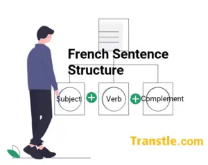 sentence structure in French, French sentence structure