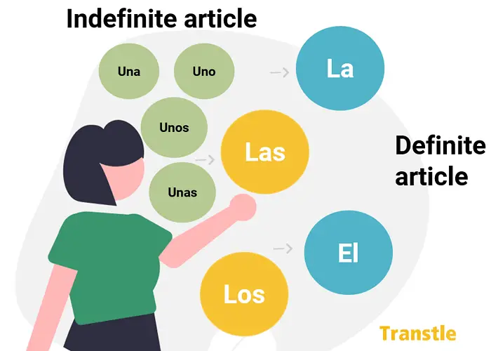 Spanish Articles Definite and indefinite el, la los, uno, unas, unos, una