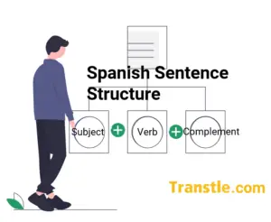 Spanish Sentence Structure of an affirmative, interrogative and negative sentence