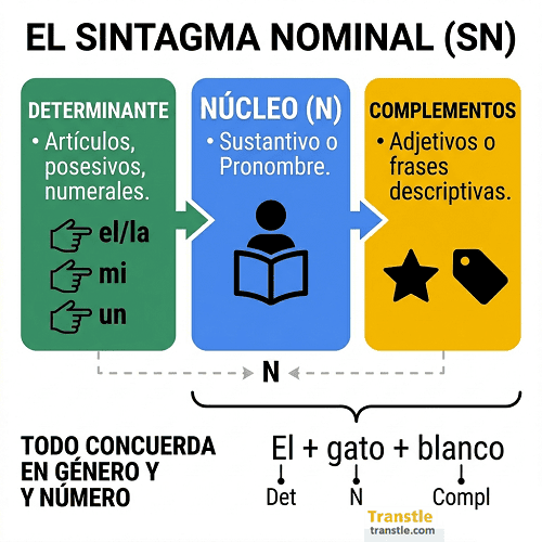 Esquema del Sintagma Nominal mostrando su estructura: determinante, núcleo (sustantivo o pronombre) y complementos con ejemplos de concordancia. 