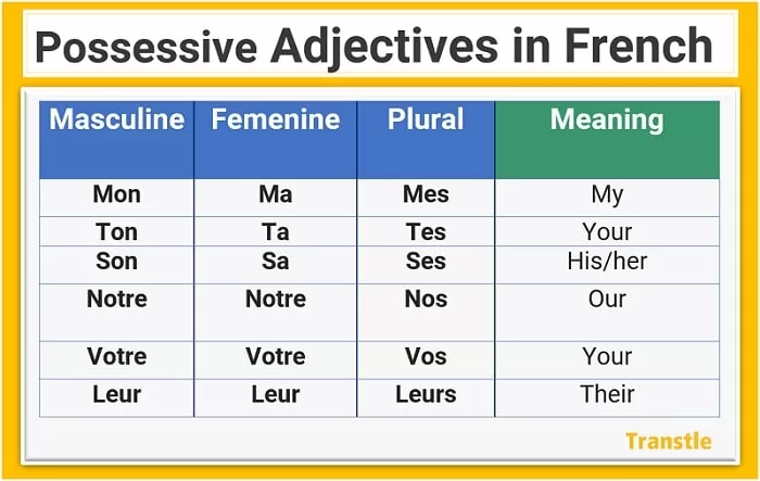French Possessive Adjectives, list of Possessive adjectives in french and english