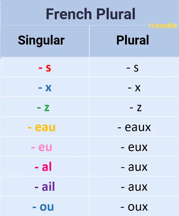 French plural rules and endings plural in french adjectives and nouns with examples